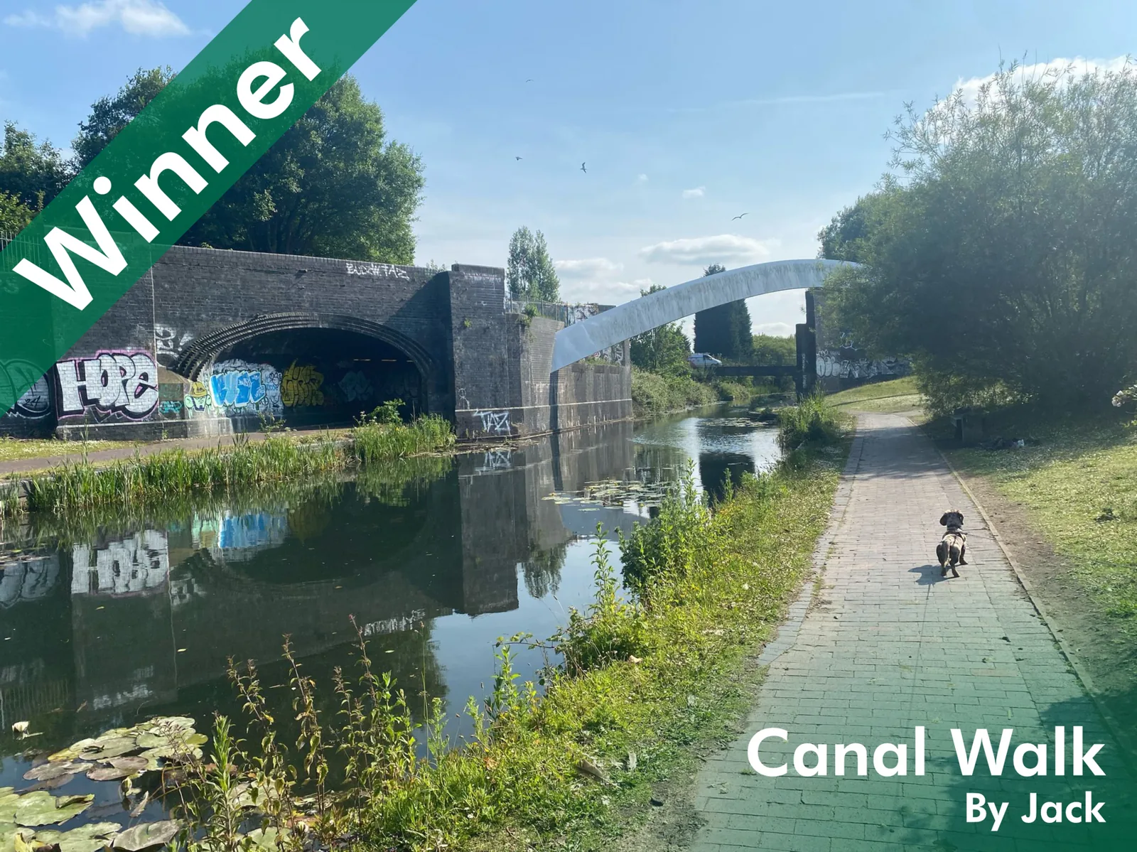 Canal Walk by Jack, winner